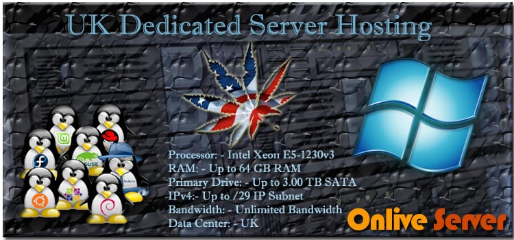 Affordable Hosting Server Plans of Cheap UK Dedicated Server