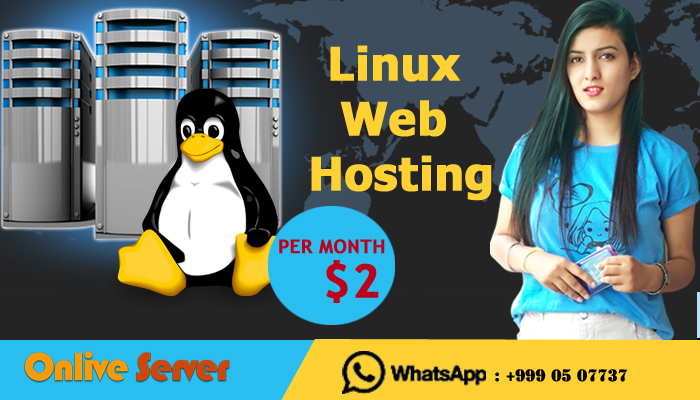 Linux Web Hosting Server with Simple And Easy Methods of Hosting