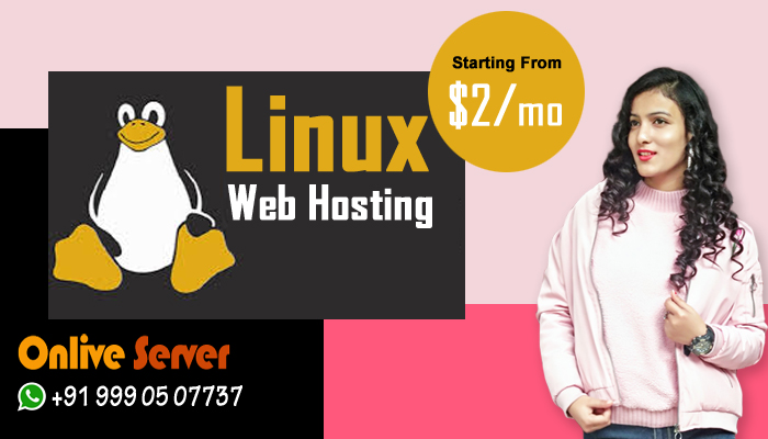 Onlive Server Offers The Best Linux Web Hosting