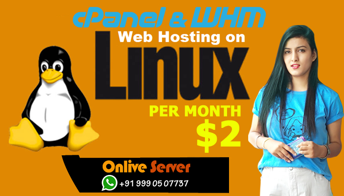 Next Generation VPS Server Hosting Plans by Onlive Server