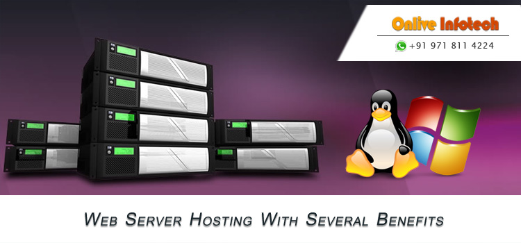 Cheapest Dedicated Server & Canada VPS | Trouble Free Speed | Help