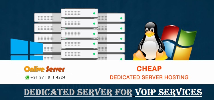 Onlive Server Launched France Dedicated Server for VoIP Services