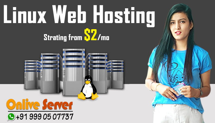 Linux Web Hosting Suitable for Modern Businesses – Onlive Server