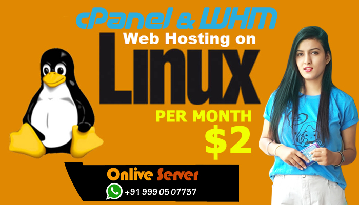 linux webhosting
