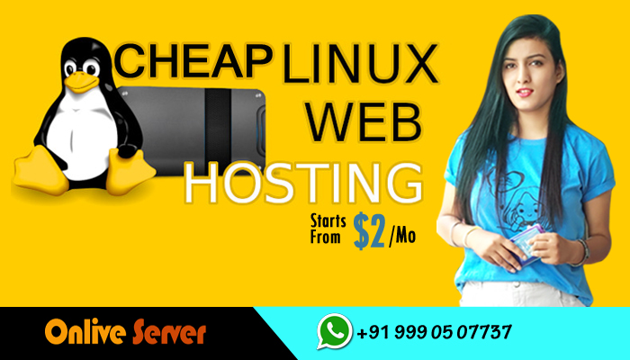 Get Specialized Linux Web Hosting Services – Onlive Server Company
