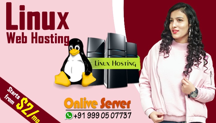 How to Choose Between Windows Web and Linux Web Hosting