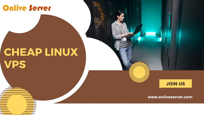 Experienced Cheap Linux VPS Hosting Control