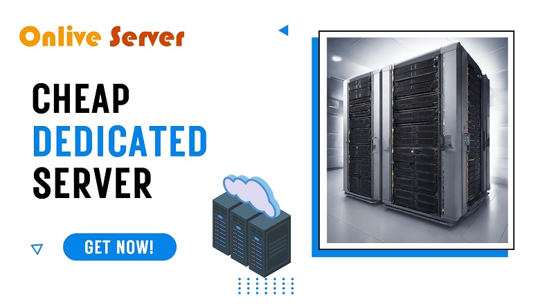 What Are The Key Differences Between Germany Dedicated Server and VPS?