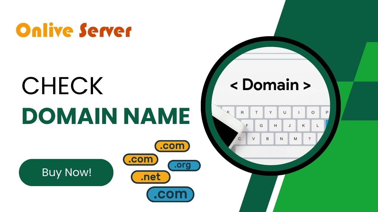 Check Domain Name Online