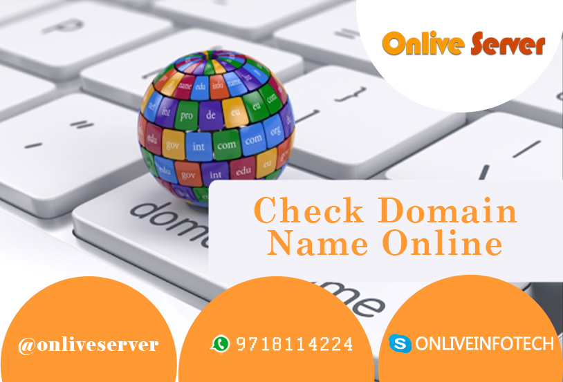 Check Domain Name Online