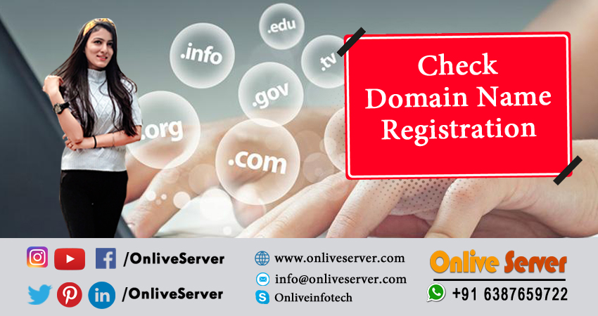 check website domain registration