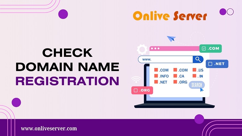 check website domain registration