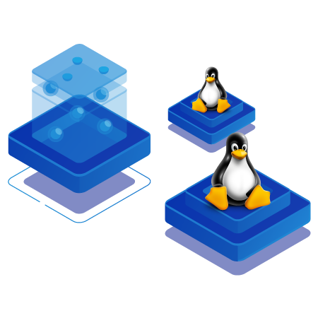 Illustration of Linux VPS hosting with penguin icons on virtual server blocks.